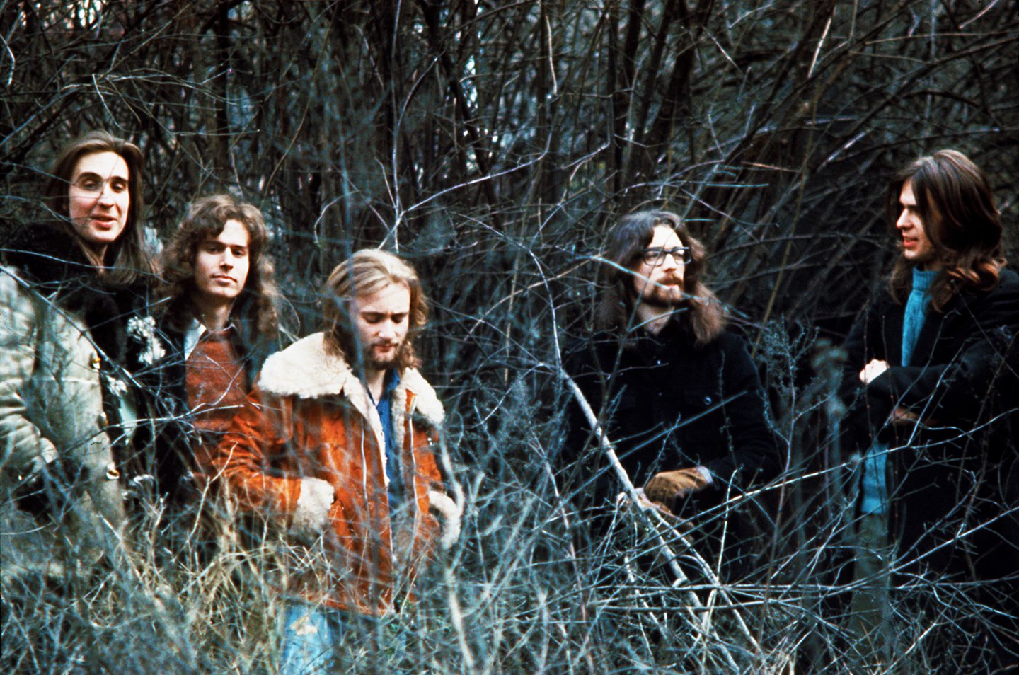 Genesis in the Weeds - 1972