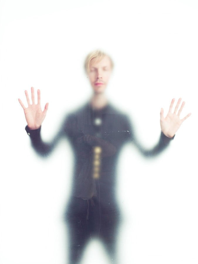 Beck, Frosted Series 2 of 2, 2010