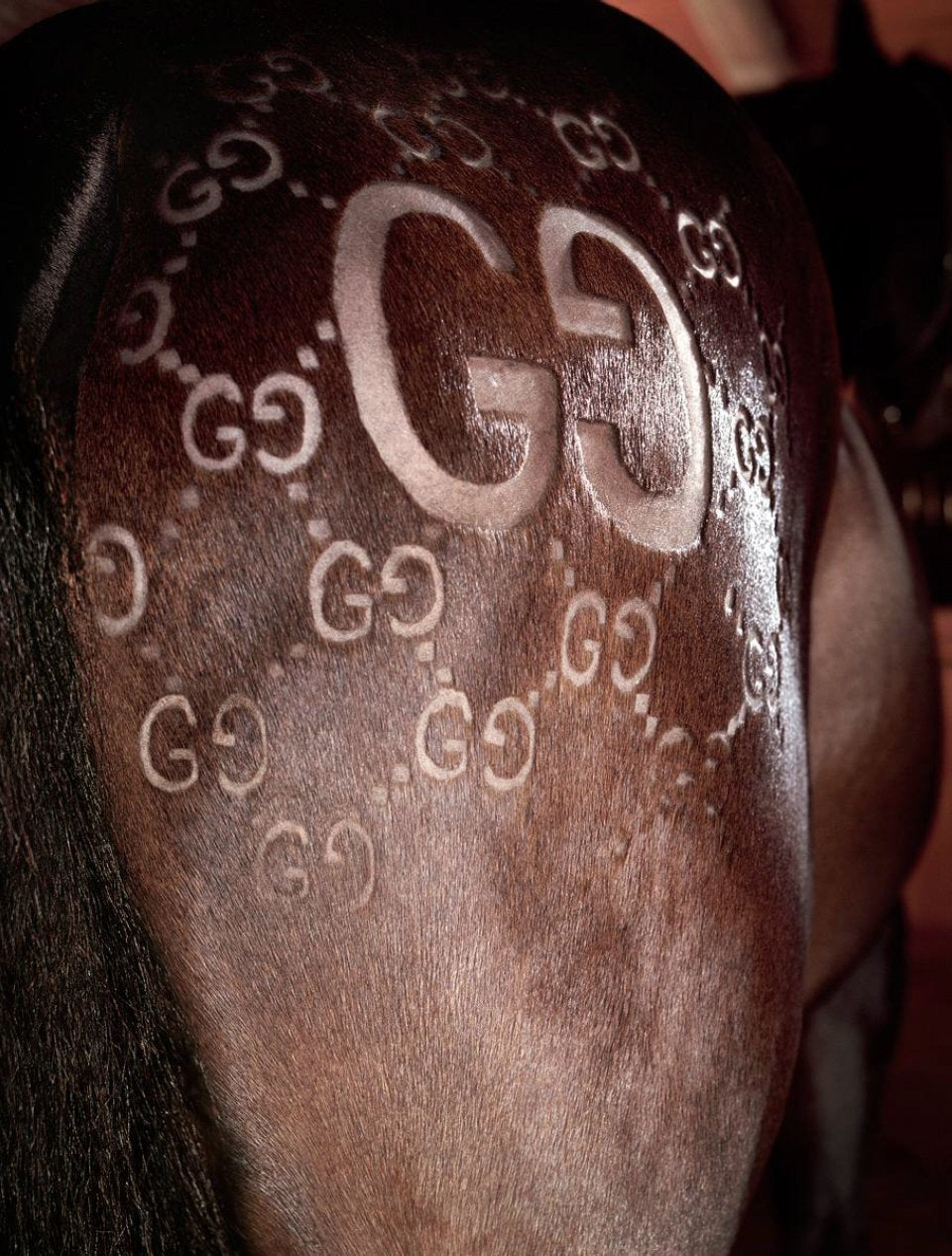 Gucci Cut