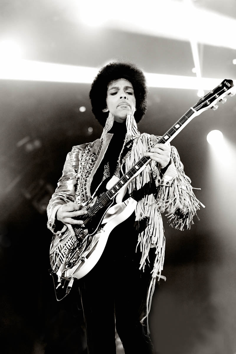 Prince, Aarhus Skanderborg, Denmark 2013 - 04