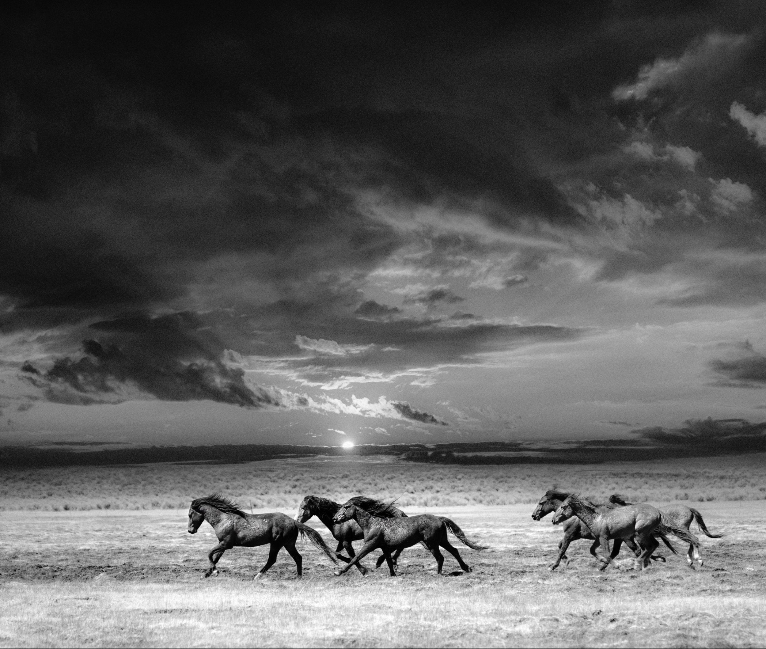 Chasing the Light