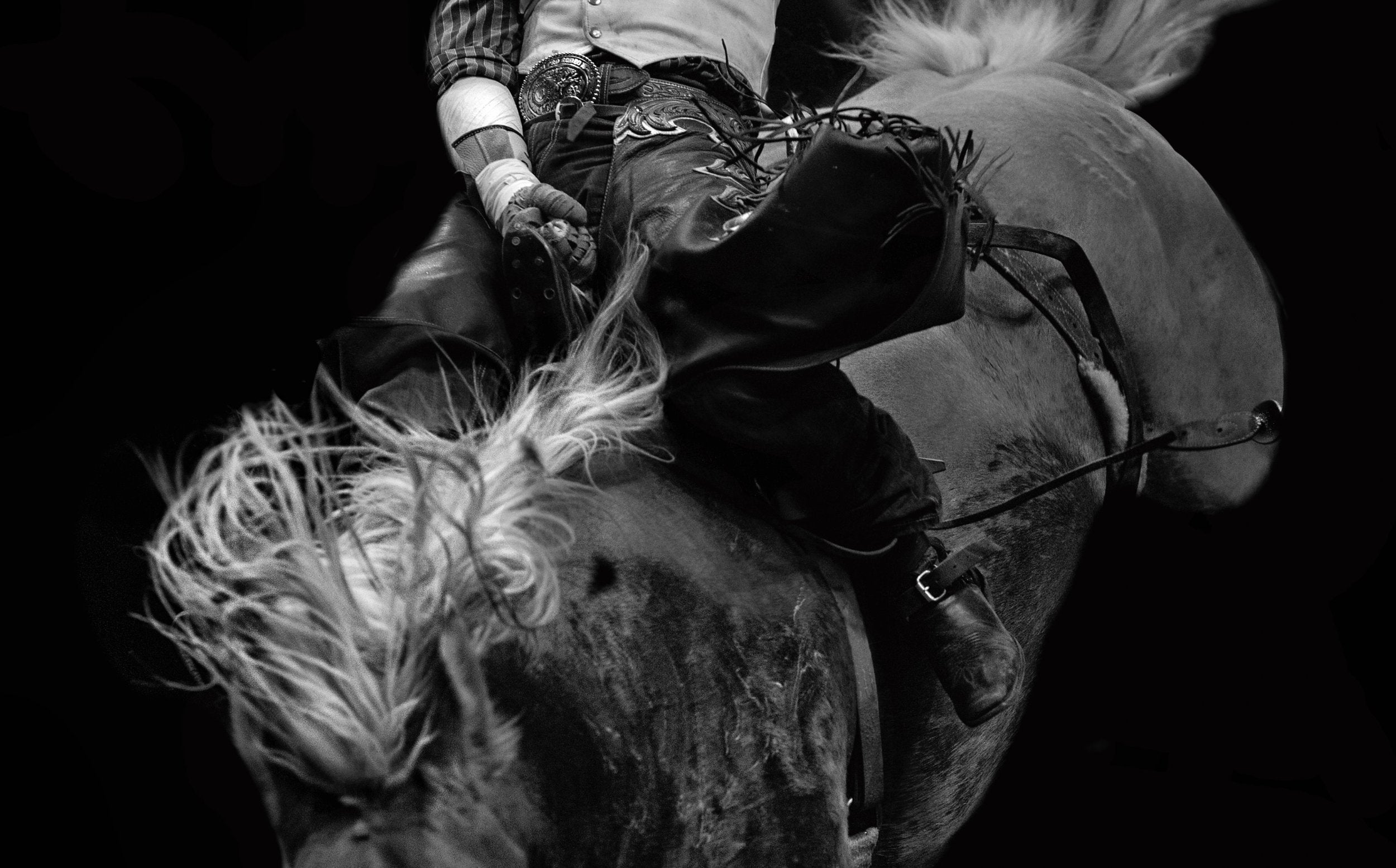 Rodeo Series 01