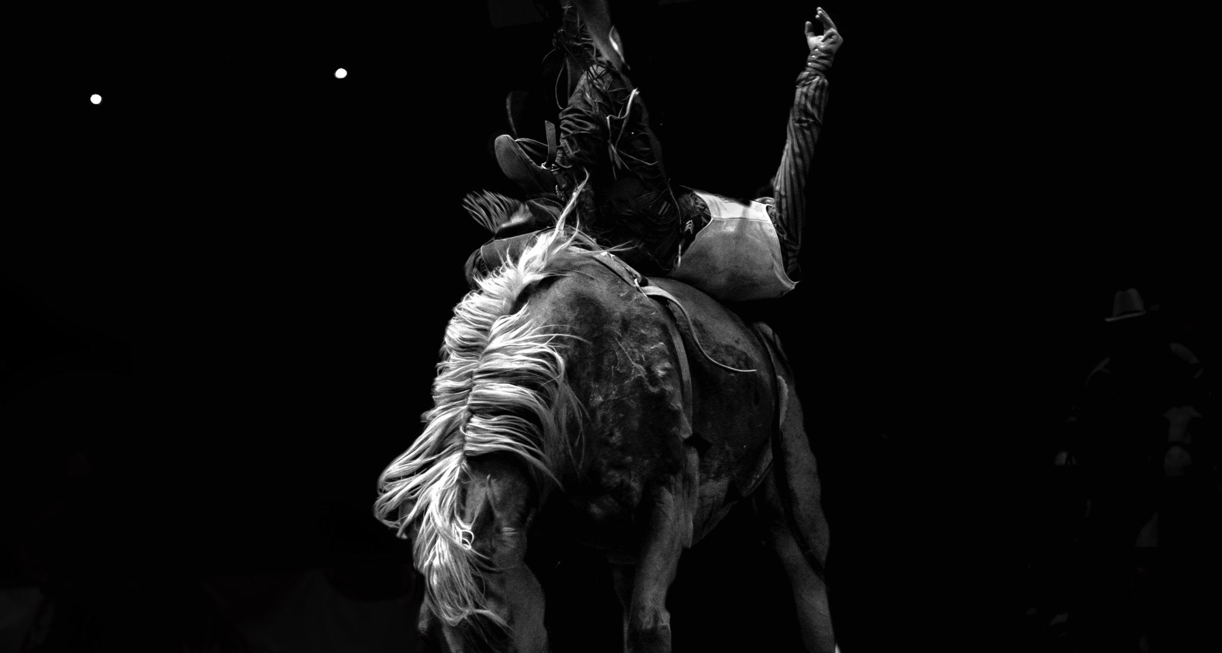Rodeo Series 02