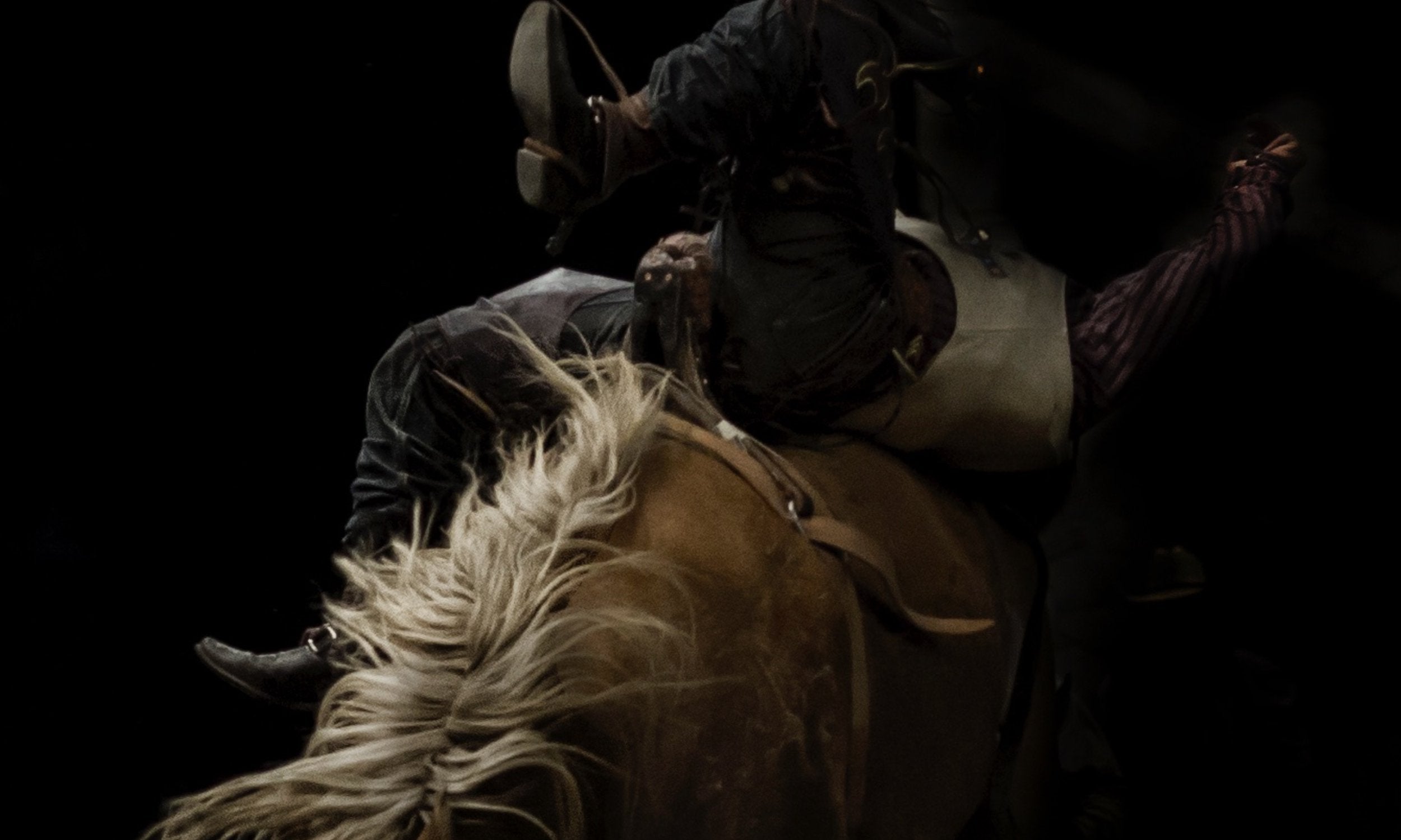 Rodeo Series 05